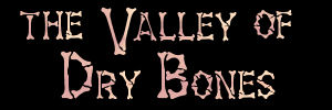 Click here to download and view the Power Point Slideshow Presentation - 'The Valley of Dry Bones' by Darrell G. Young
NOTE - this is a large file and will take a few seconds to download but the wait will be worth it